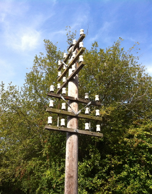 Telegraph pole